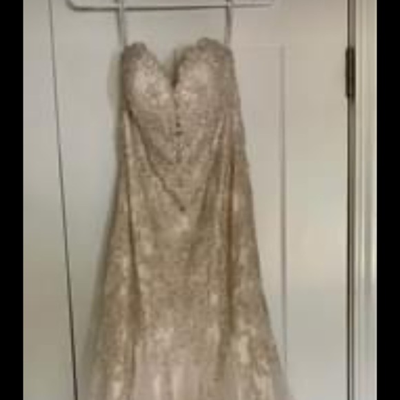 Beautiful Champagne Wedding Dress - Picture 4 of 9